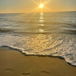 Meet your Posher, Selena